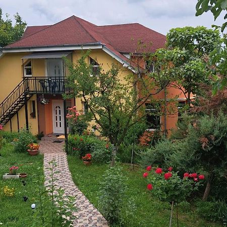 Casa Liana Hotel Oradea Bagian luar foto