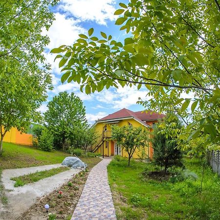 Casa Liana Hotel Oradea Bagian luar foto