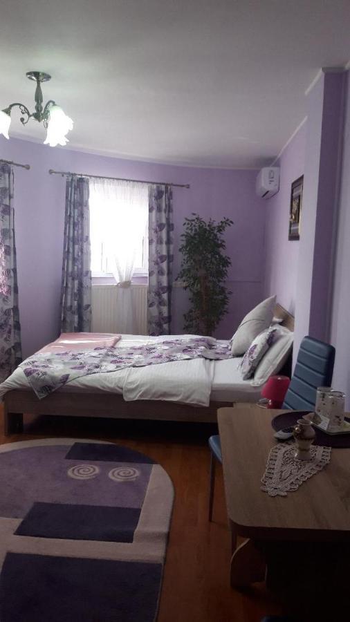 Casa Liana Hotel Oradea Bagian luar foto