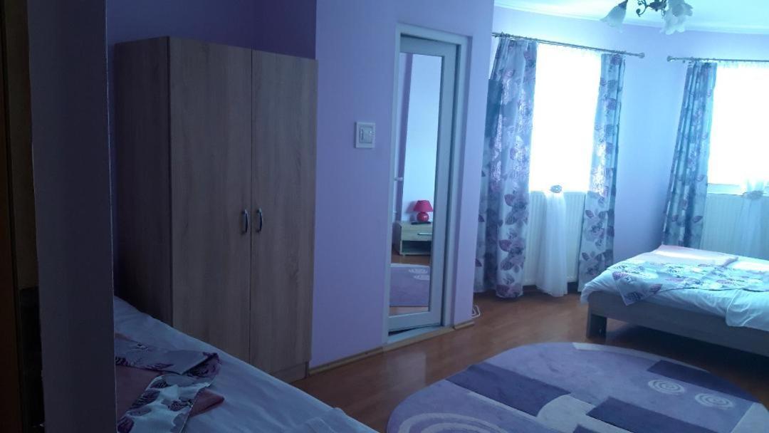 Casa Liana Hotel Oradea Bagian luar foto