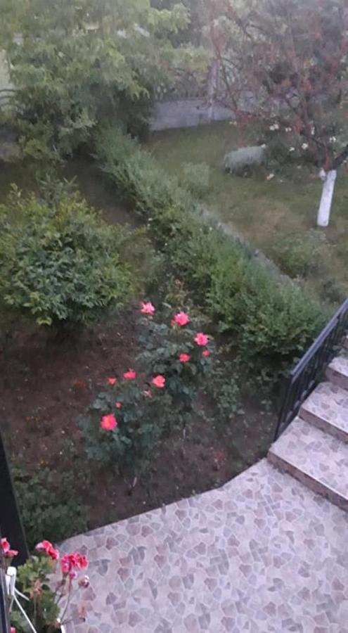 Casa Liana Hotel Oradea Bagian luar foto